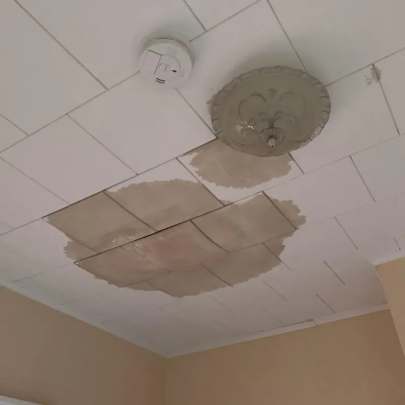 Ceiling Water Damage Repair in Jackson County, OK