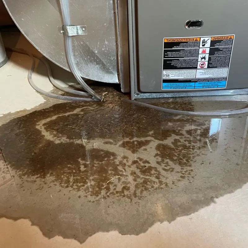 Pipe Burst and Leak Restoration in Jackson County, OK